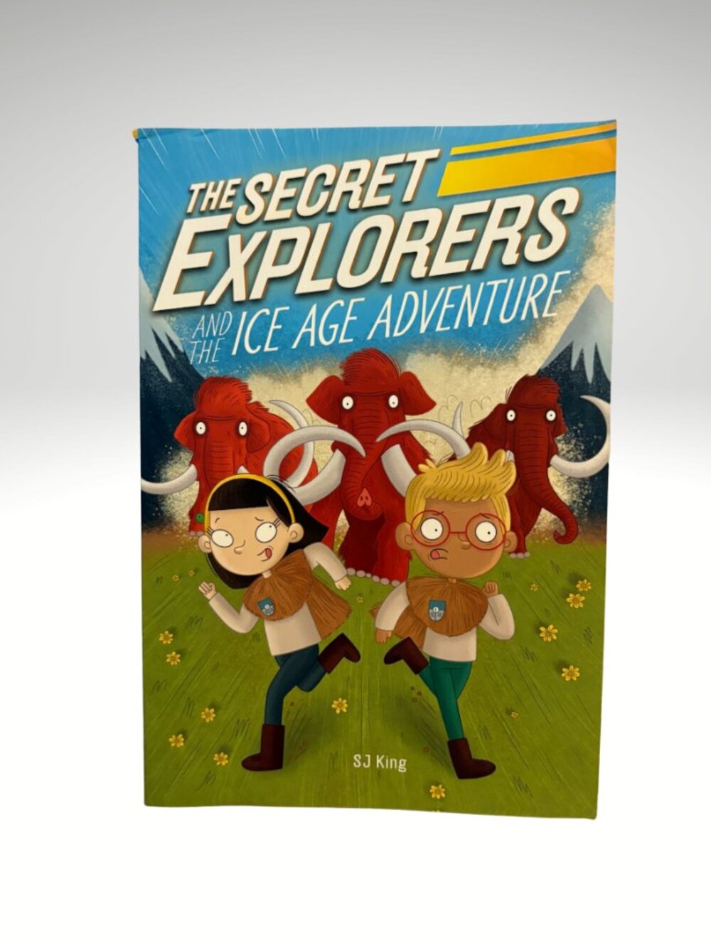 Secret Explorers Ice Age Adventure Kids Chapter Book Ages 7-9 5/$15 (SKU:230MI)